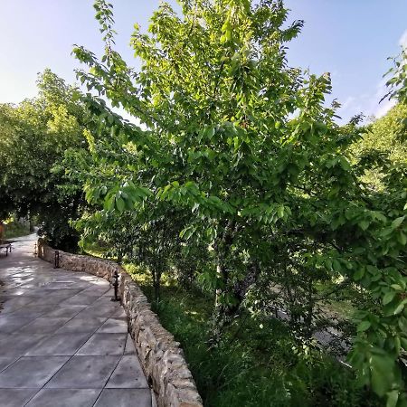 Villa Marel Trefacio Bagian luar foto
