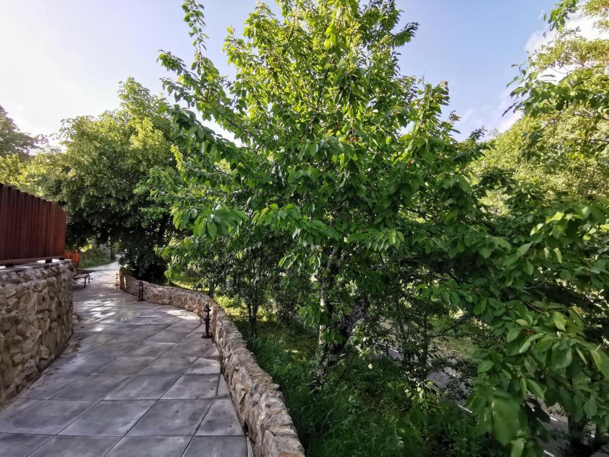 Villa Marel Trefacio Bagian luar foto